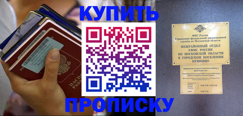 прописка гарантия в Шали